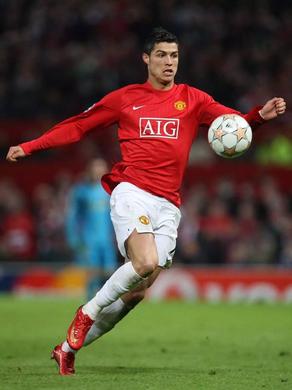 加里纳利在 加里纳利在