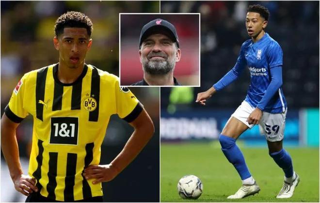 提供影像与 提供影像与