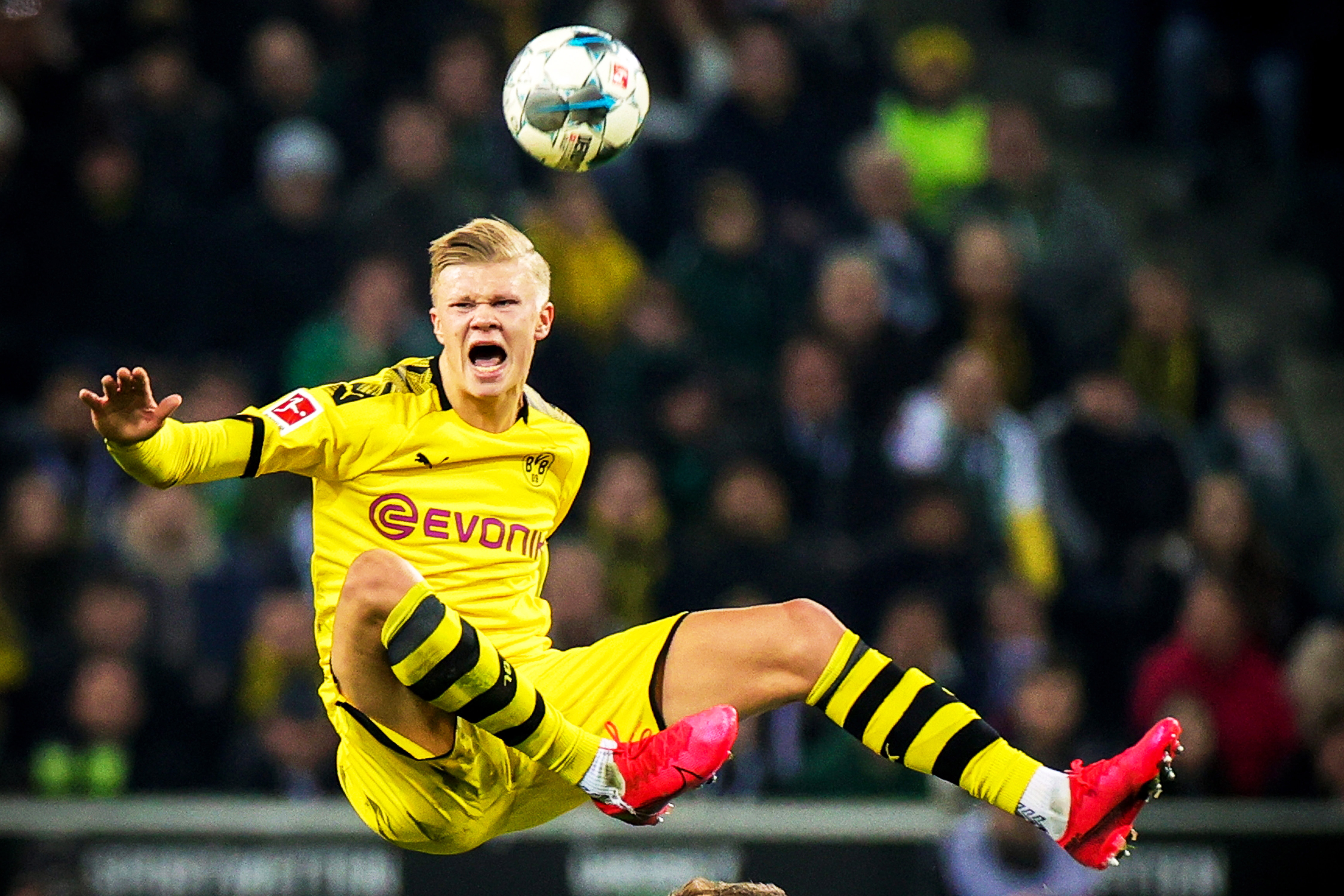 成面子的 成面子的